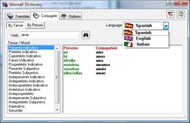 IdiomaX Spanish-Italian Dictionary screenshot